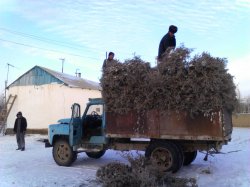 Аты-жөнін көрсетпеген жігіттер қайырымдылық жасады