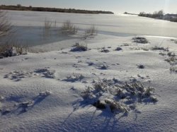 Мол суды қауіпсіз өткізуге дайындық жүргізілуде