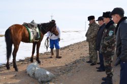 Аралда киікті заңсыз ату бірнеше есеге көбейді