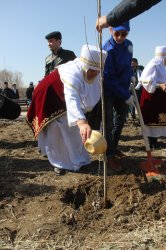 Қызылордада «Наурыз тал» дәстүрі жандандырылды