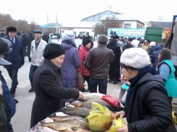 Қазалының өнімдері жәрмеңкеде арзан бағамен сатылды