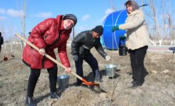 Этномәдени бірлестік өкілдері сенбілік өткізді