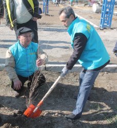 Тазалық айлығы аясында қазалылықтар 2500 түп ағаш отырғызды