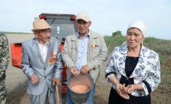 Аймақ басшысы мен дихандар егістік алқабында бас қосты