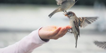 Қазақстандағы жомарт адамдар өздерін жария еткенді қаламайды