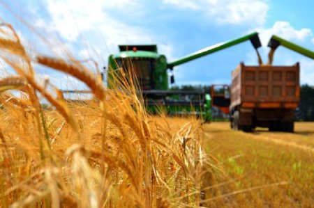 АГРОӨНЕРКӘСІП  КЕШЕНІНІҢ ДАМУЫ