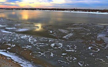 Қызылорда облысы: Сырдария өзеніндегі жағдай қалыпты