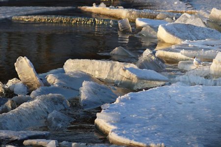 Сырдариядағы сең Қызылорда тұсынан кедергісіз өтті