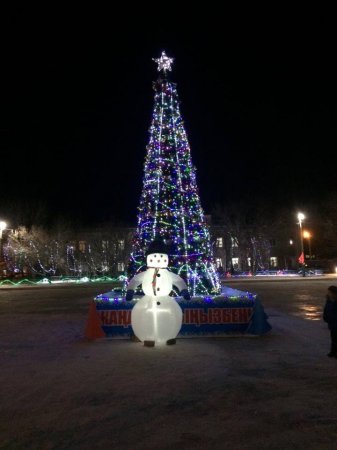 Жаңажылдық шырша шамы жағылды