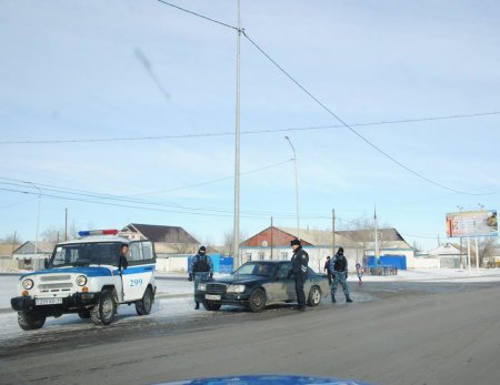 Жедел профилактикалық шолулар
