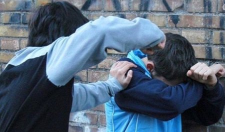 ІІМ жасөспірімдер ісіне қатысты шұғыл отырыс өткізеді