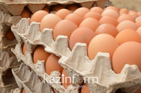 «Резеңке» жұмыртқа: санитар дәрігерлер сауда орындарын тексеруге шығады