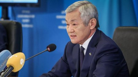 Сапарбаев көпбалалы отбасыларға қандай көмек көрсетілетінін айтты
