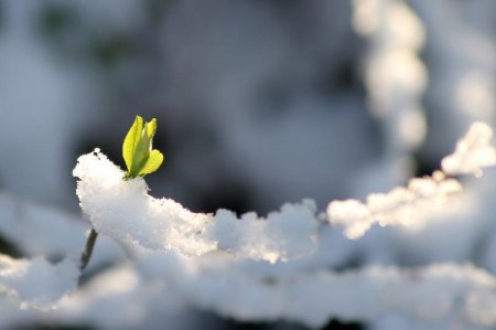 Наурыз айында Қазақстанда ауа райы қандай болады?