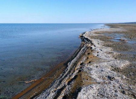 Аралға әлем назарын аудартқан Елбасы
