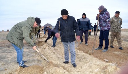 Арал теңізі күнінде 800 түп ағаш отырғызылды
