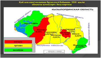 Бруцеллез - аса қауіпті дерт