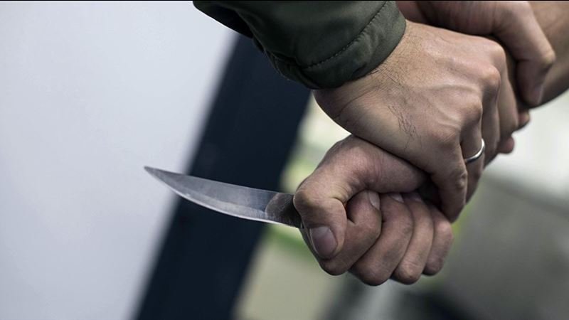Екі полицейді пышақтап кетті