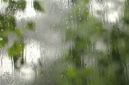 Алдағы тәуліктерде Қазақстанның басым бөлігінде жаңбыр жауады