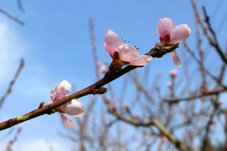 "11 градусқа дейін суық": Сәуірде ел тұрғындарын қандай ауа райы күтіп тұр?