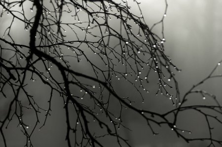 7 сәуір күнгі ауа райы болжамы