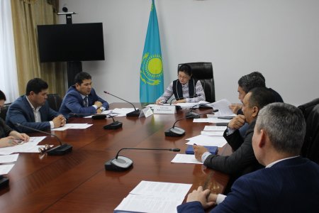 Арнайы мониторингтік топтың отырысы