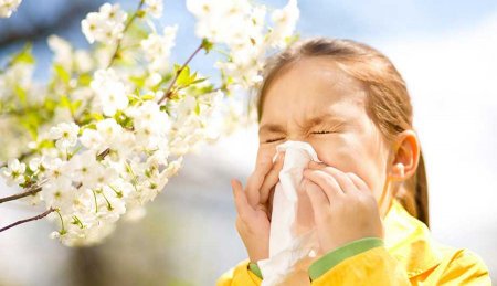 Поллиноз: маусымдық аллергиямен қалай күресуге болады?