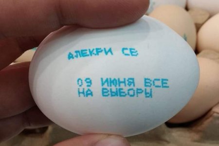 Кәсіпкер жұртшылықты жұмыртқа арқылы сайлауға шақырды