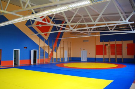 Спорт университеті ашылуы мүмкін