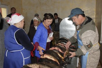 «Балықтар әлемінде» бәрі бар