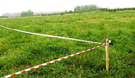 Қазалыда кәсіпкердің жер алуына кедергі жасаған әкімге айыппұл салынды