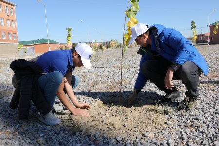 Қайырымдылық керуені