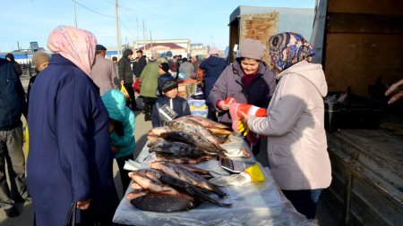 Ауылшаруашылық жәрмеңкесі өтті