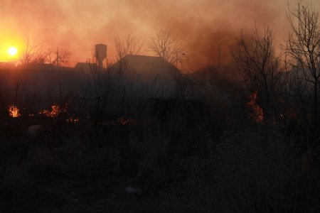 Қызылордада жеке тұрғын үйлердің жеміс ағаштары өртеніп кетті