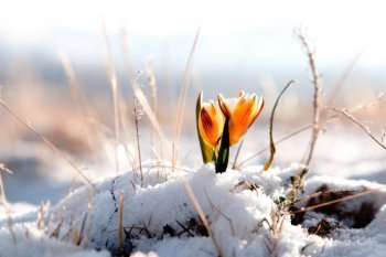 2 наурызда Қазақстанның басым бөлігінде күн ашық болады