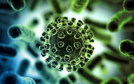 Әлемде коронавирус анықталған адам саны 2,5 миллионнан асты